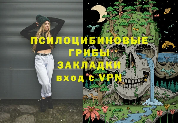 Альфа ПВП Белокуриха