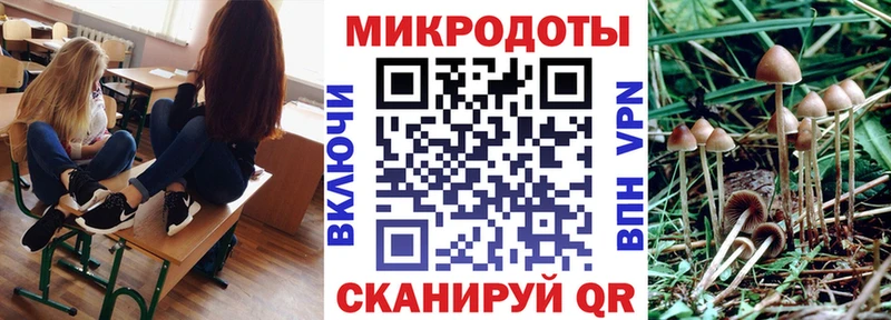 где купить наркотик  Сердобск  это официальный сайт  Псилоцибиновые грибы мухоморы 