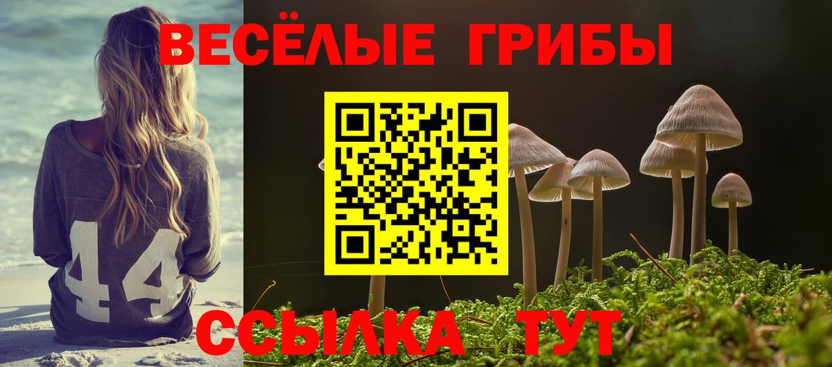 Галлюциногенные грибы ЛСД  магазин продажи   Псилоцибиновые грибы ЛСД  Сердобск  Вход с VPN 